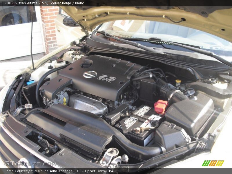 Velvet Beige / Blond 2003 Nissan Altima 2.5 S
