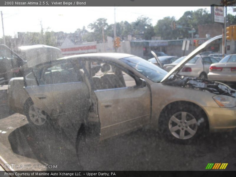 Velvet Beige / Blond 2003 Nissan Altima 2.5 S