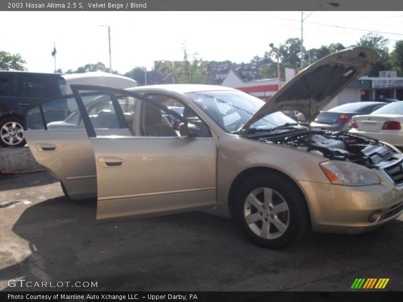 Velvet Beige / Blond 2003 Nissan Altima 2.5 S