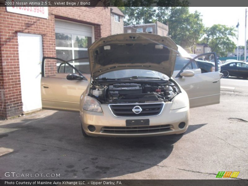 Velvet Beige / Blond 2003 Nissan Altima 2.5 S