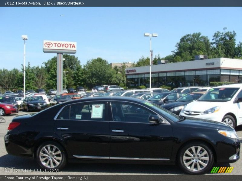 Black / Black/Bordeaux 2012 Toyota Avalon