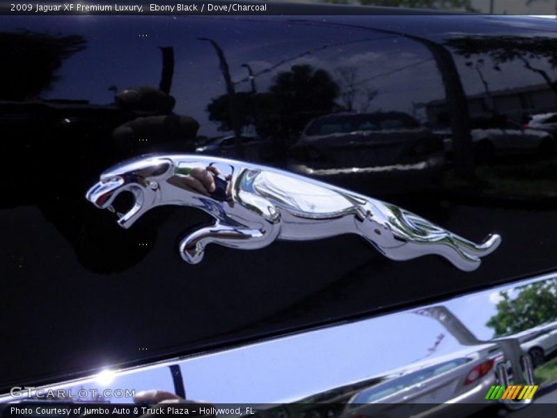 Ebony Black / Dove/Charcoal 2009 Jaguar XF Premium Luxury
