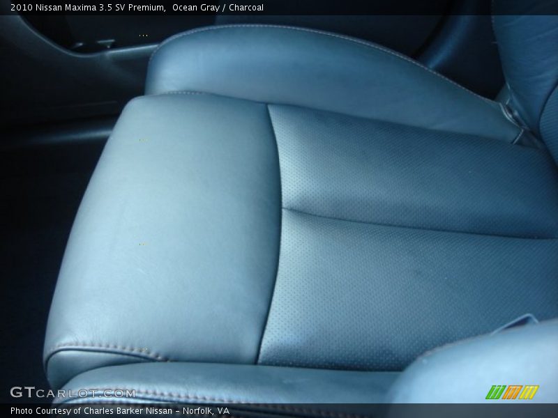 Ocean Gray / Charcoal 2010 Nissan Maxima 3.5 SV Premium