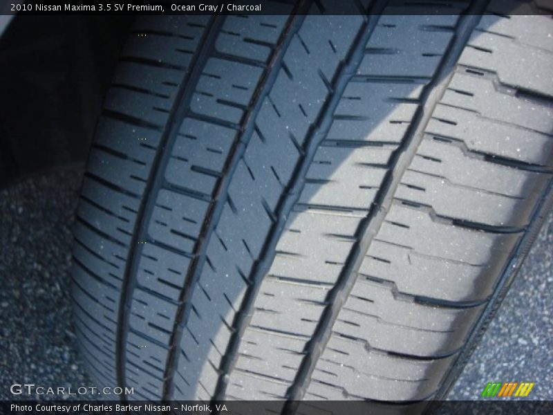 Ocean Gray / Charcoal 2010 Nissan Maxima 3.5 SV Premium