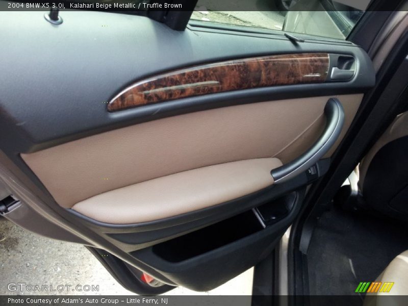 Kalahari Beige Metallic / Truffle Brown 2004 BMW X5 3.0i