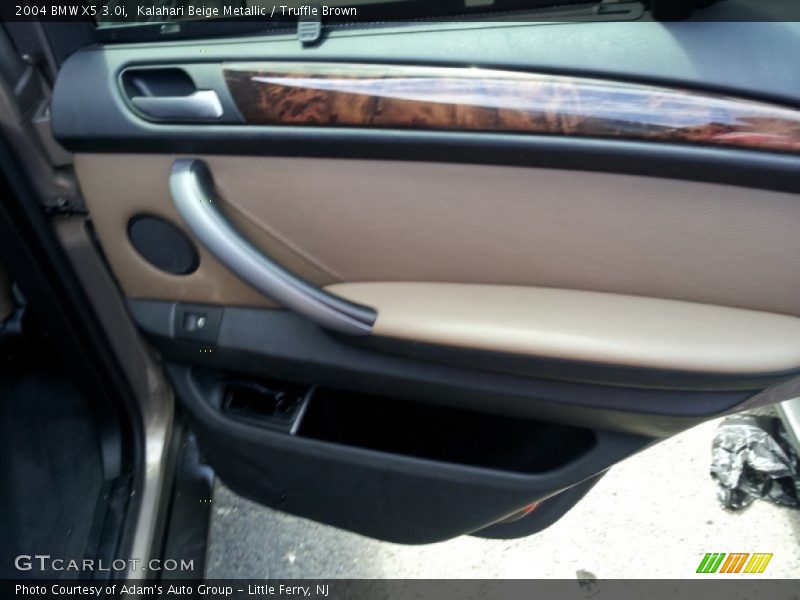 Kalahari Beige Metallic / Truffle Brown 2004 BMW X5 3.0i