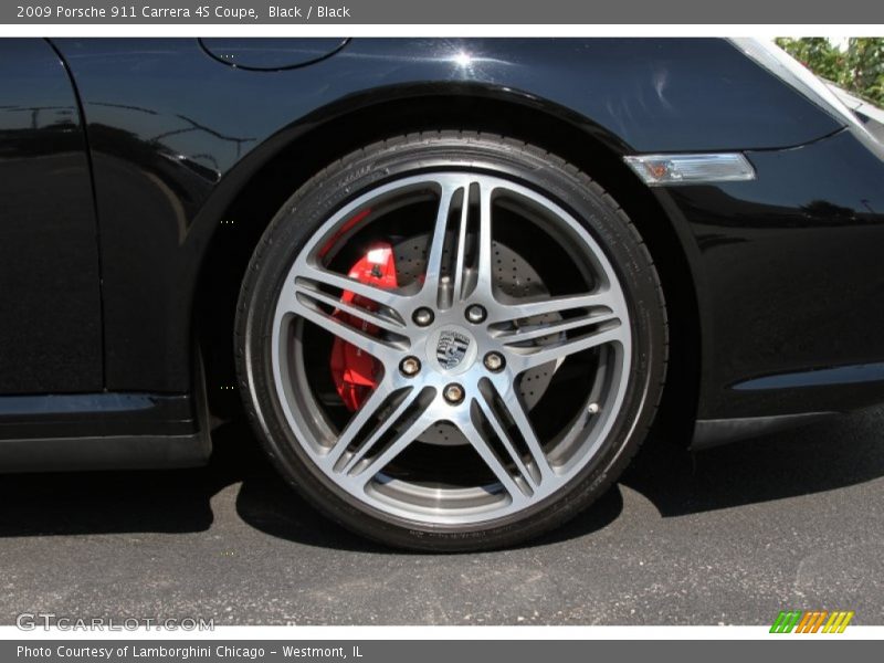  2009 911 Carrera 4S Coupe Wheel