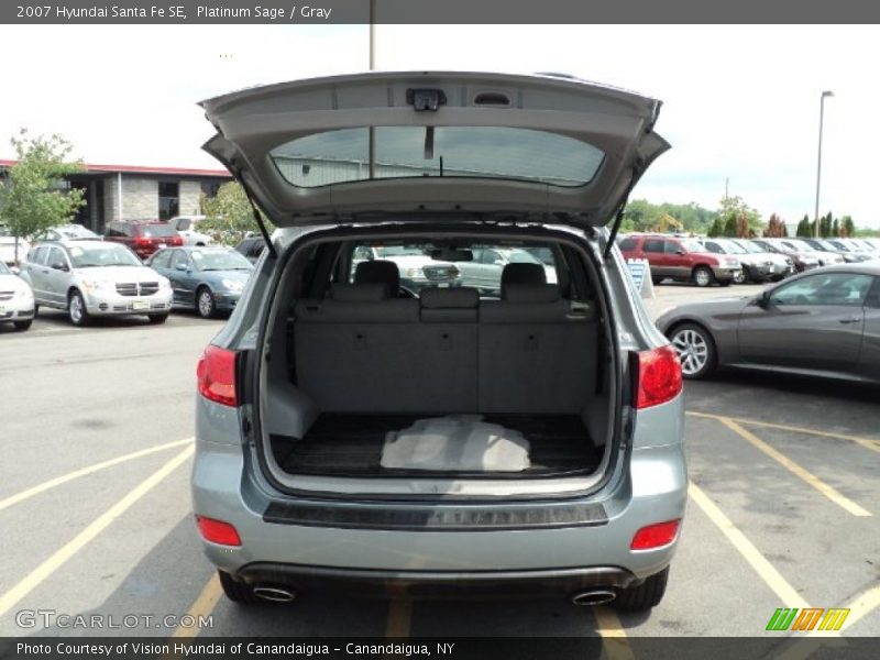 Platinum Sage / Gray 2007 Hyundai Santa Fe SE