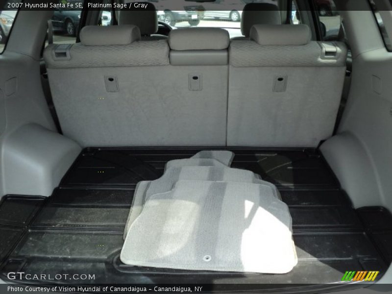 Platinum Sage / Gray 2007 Hyundai Santa Fe SE