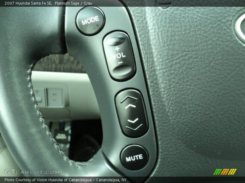 Platinum Sage / Gray 2007 Hyundai Santa Fe SE
