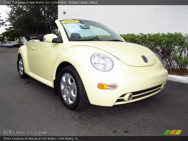 Mellow Yellow / Black 2003 Volkswagen New Beetle GLS Convertible