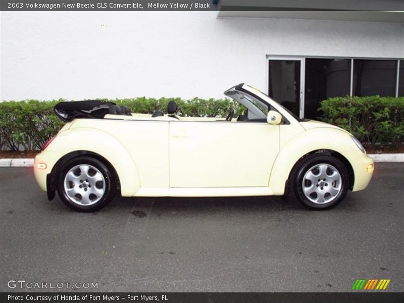 Mellow Yellow / Black 2003 Volkswagen New Beetle GLS Convertible