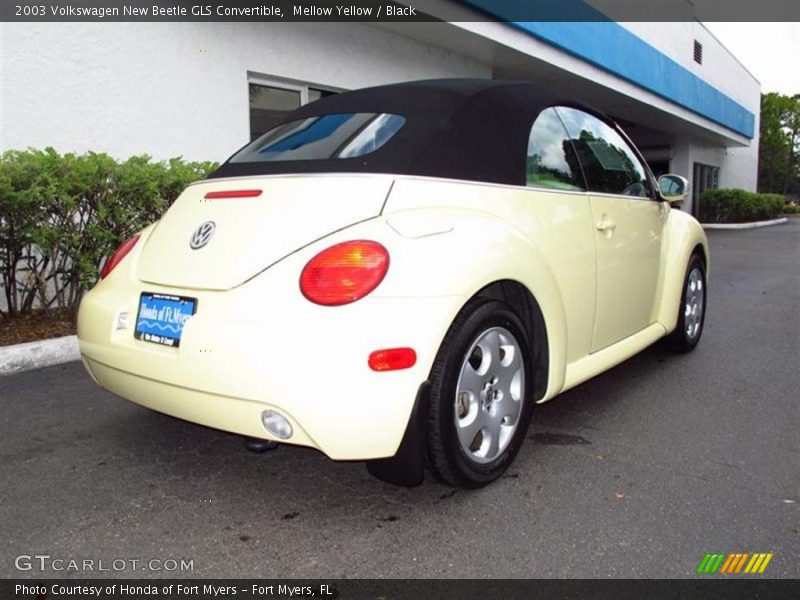 Mellow Yellow / Black 2003 Volkswagen New Beetle GLS Convertible