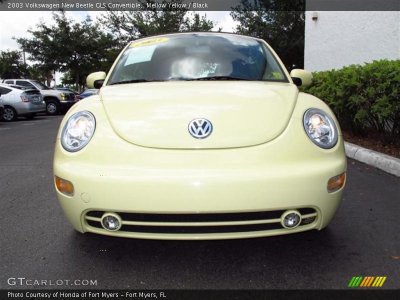 Mellow Yellow / Black 2003 Volkswagen New Beetle GLS Convertible