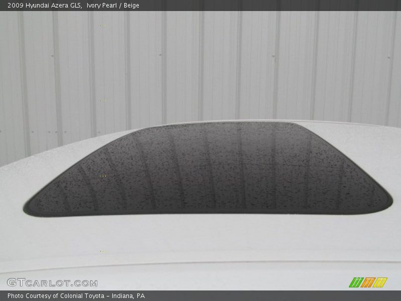 Ivory Pearl / Beige 2009 Hyundai Azera GLS