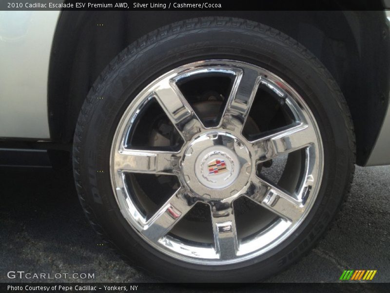 Silver Lining / Cashmere/Cocoa 2010 Cadillac Escalade ESV Premium AWD