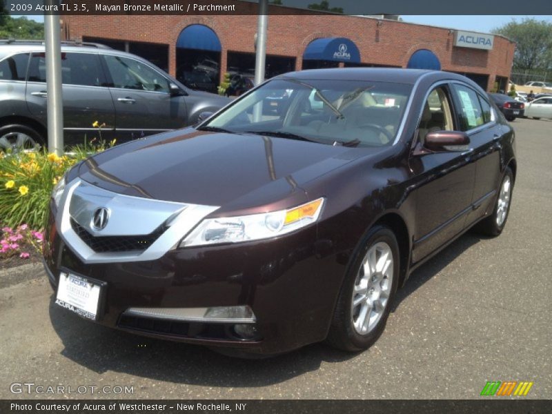 Mayan Bronze Metallic / Parchment 2009 Acura TL 3.5