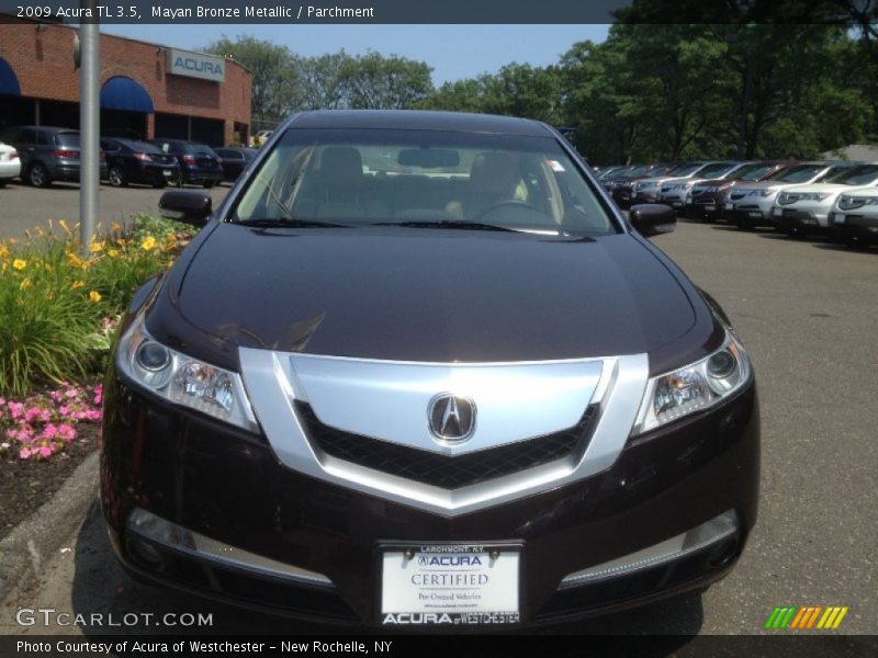 Mayan Bronze Metallic / Parchment 2009 Acura TL 3.5