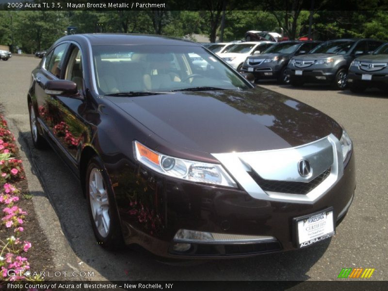 Mayan Bronze Metallic / Parchment 2009 Acura TL 3.5