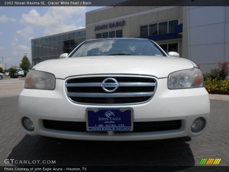 Glacier White Pearl / Black 2002 Nissan Maxima SE