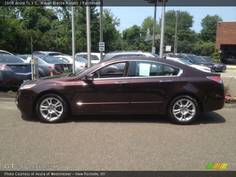 Mayan Bronze Metallic / Parchment 2009 Acura TL 3.5