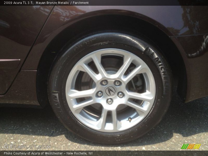 Mayan Bronze Metallic / Parchment 2009 Acura TL 3.5