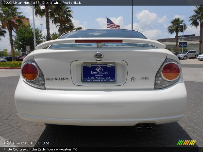 Glacier White Pearl / Black 2002 Nissan Maxima SE