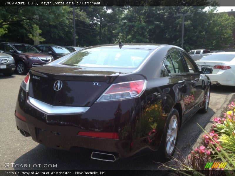 Mayan Bronze Metallic / Parchment 2009 Acura TL 3.5