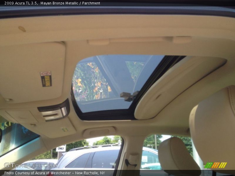 Mayan Bronze Metallic / Parchment 2009 Acura TL 3.5