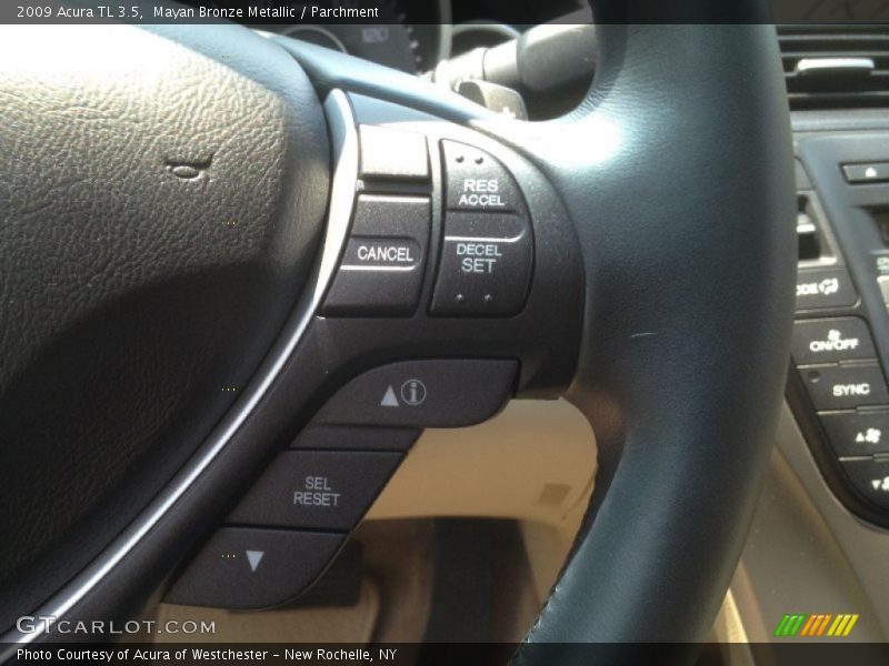 Mayan Bronze Metallic / Parchment 2009 Acura TL 3.5