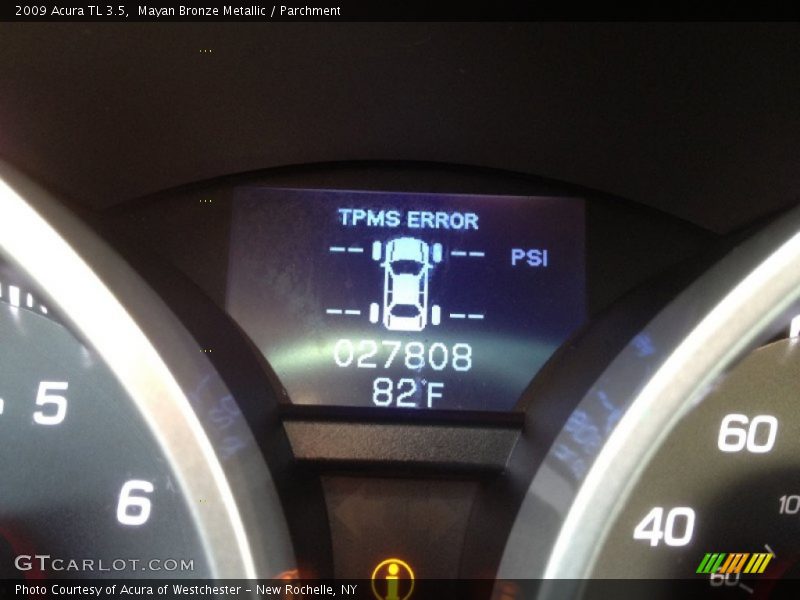 Mayan Bronze Metallic / Parchment 2009 Acura TL 3.5