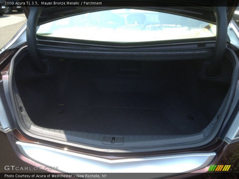Mayan Bronze Metallic / Parchment 2009 Acura TL 3.5