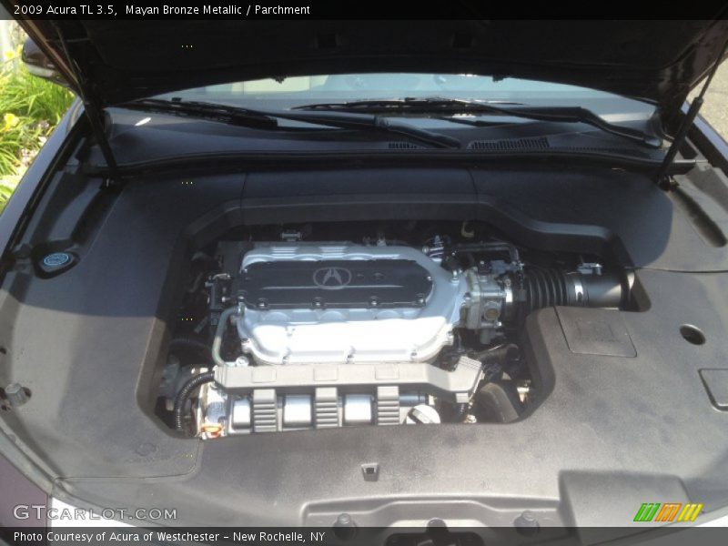 Mayan Bronze Metallic / Parchment 2009 Acura TL 3.5