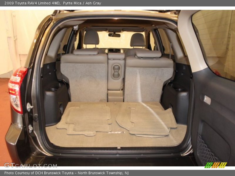 Pyrite Mica / Ash Gray 2009 Toyota RAV4 Limited 4WD