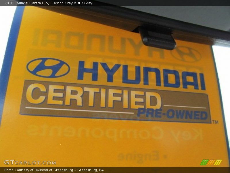 Carbon Gray Mist / Gray 2010 Hyundai Elantra GLS