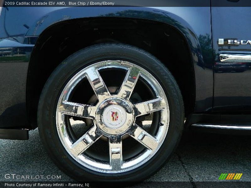 Blue Chip / Ebony/Ebony 2009 Cadillac Escalade ESV AWD
