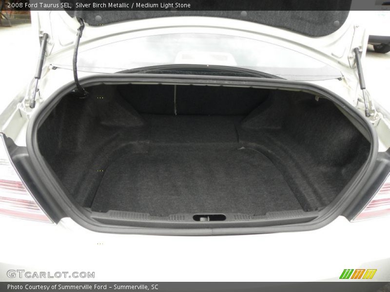 Silver Birch Metallic / Medium Light Stone 2008 Ford Taurus SEL