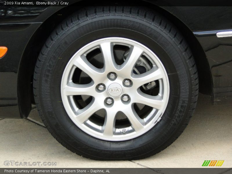 Ebony Black / Gray 2009 Kia Amanti
