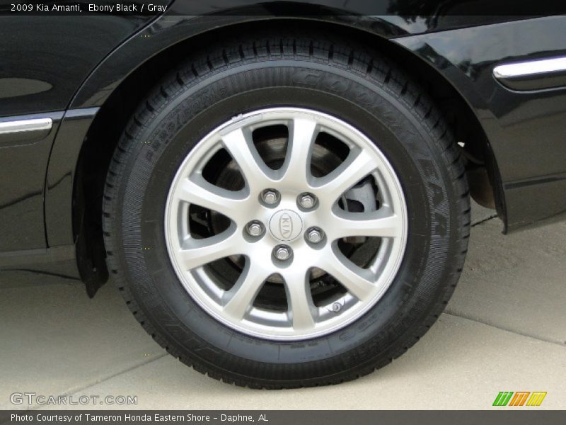 Ebony Black / Gray 2009 Kia Amanti