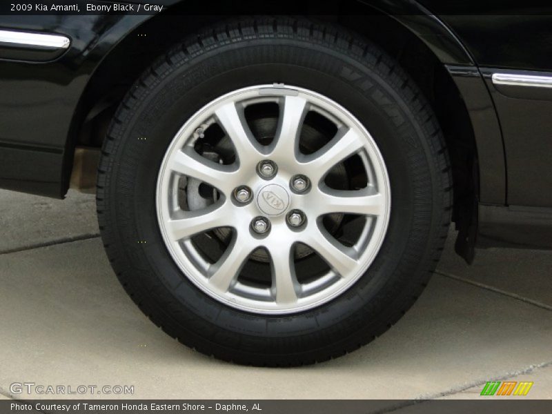 Ebony Black / Gray 2009 Kia Amanti