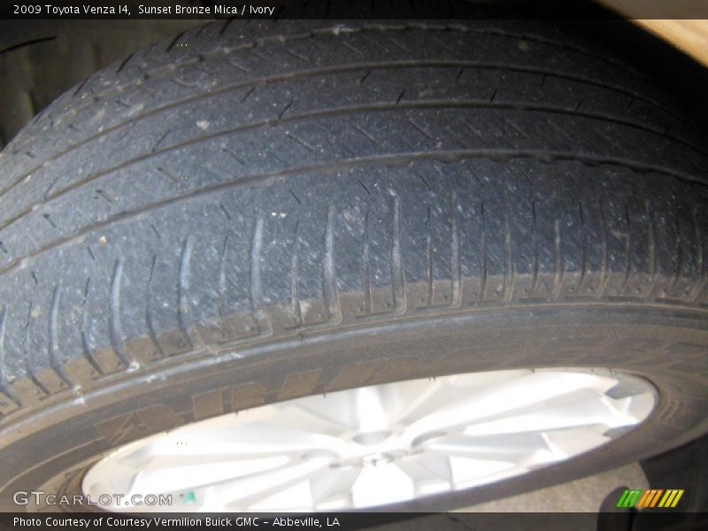 Sunset Bronze Mica / Ivory 2009 Toyota Venza I4