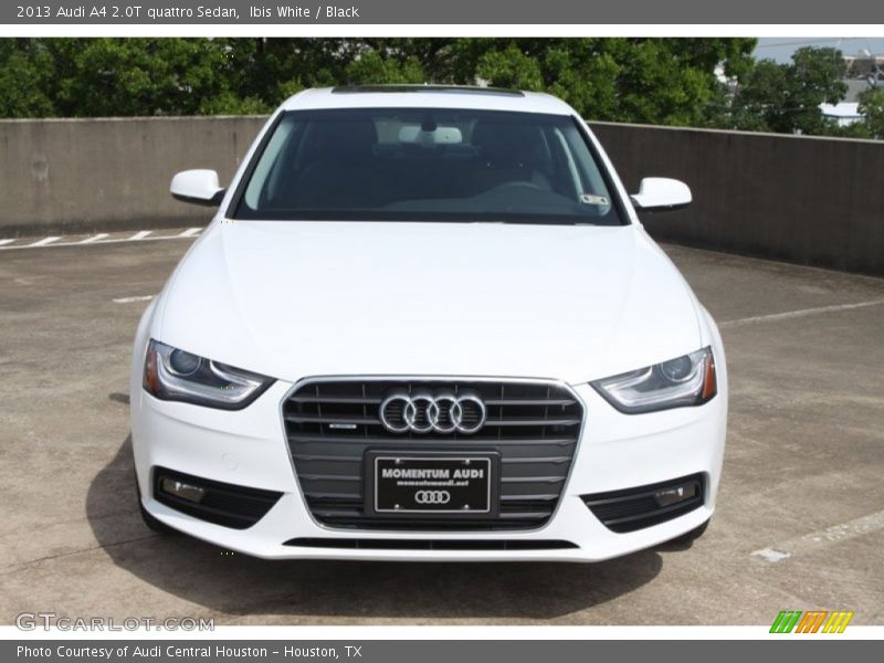 Ibis White / Black 2013 Audi A4 2.0T quattro Sedan