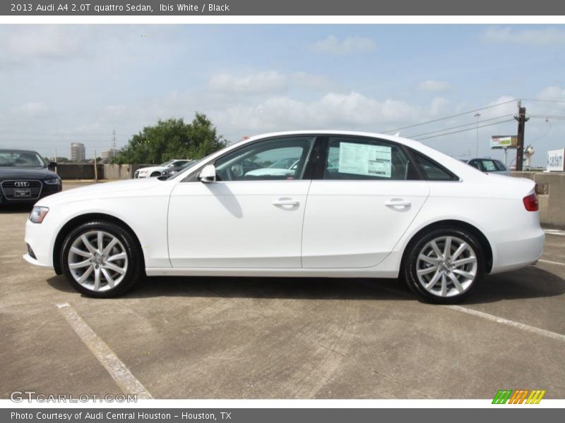 Ibis White / Black 2013 Audi A4 2.0T quattro Sedan