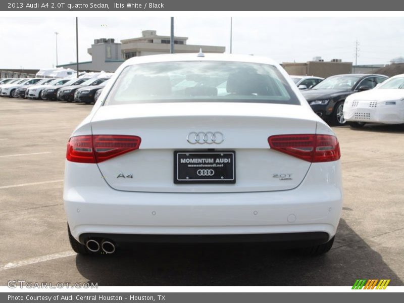Ibis White / Black 2013 Audi A4 2.0T quattro Sedan