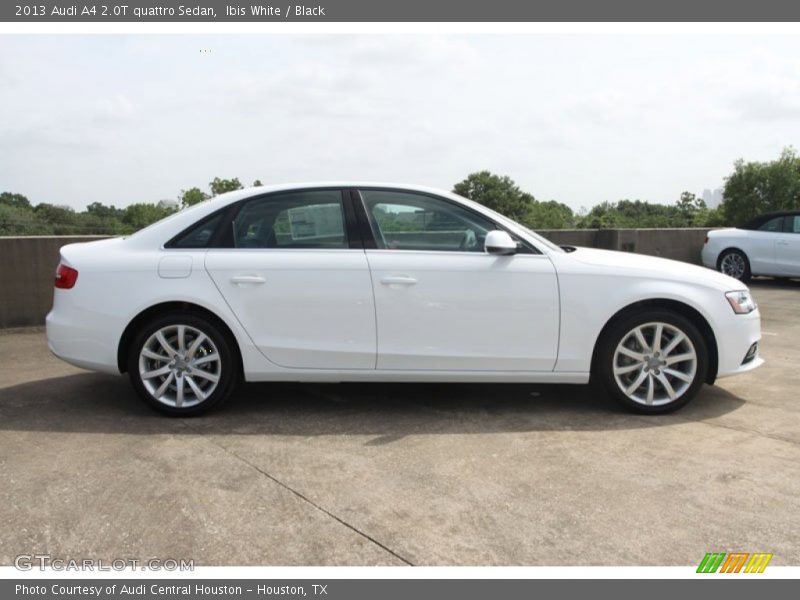 Ibis White / Black 2013 Audi A4 2.0T quattro Sedan