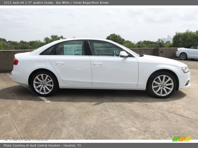 Ibis White / Velvet Beige/Moor Brown 2013 Audi A4 2.0T quattro Sedan