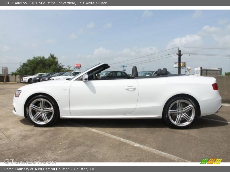 Ibis White / Black 2013 Audi S5 3.0 TFSI quattro Convertible
