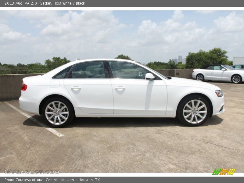  2013 A4 2.0T Sedan Ibis White