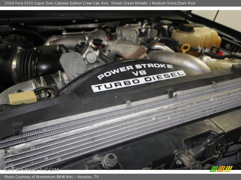 Forest Green Metallic / Medium Stone/Dark Rust 2009 Ford F250 Super Duty Cabelas Edition Crew Cab 4x4