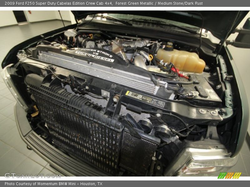 Forest Green Metallic / Medium Stone/Dark Rust 2009 Ford F250 Super Duty Cabelas Edition Crew Cab 4x4
